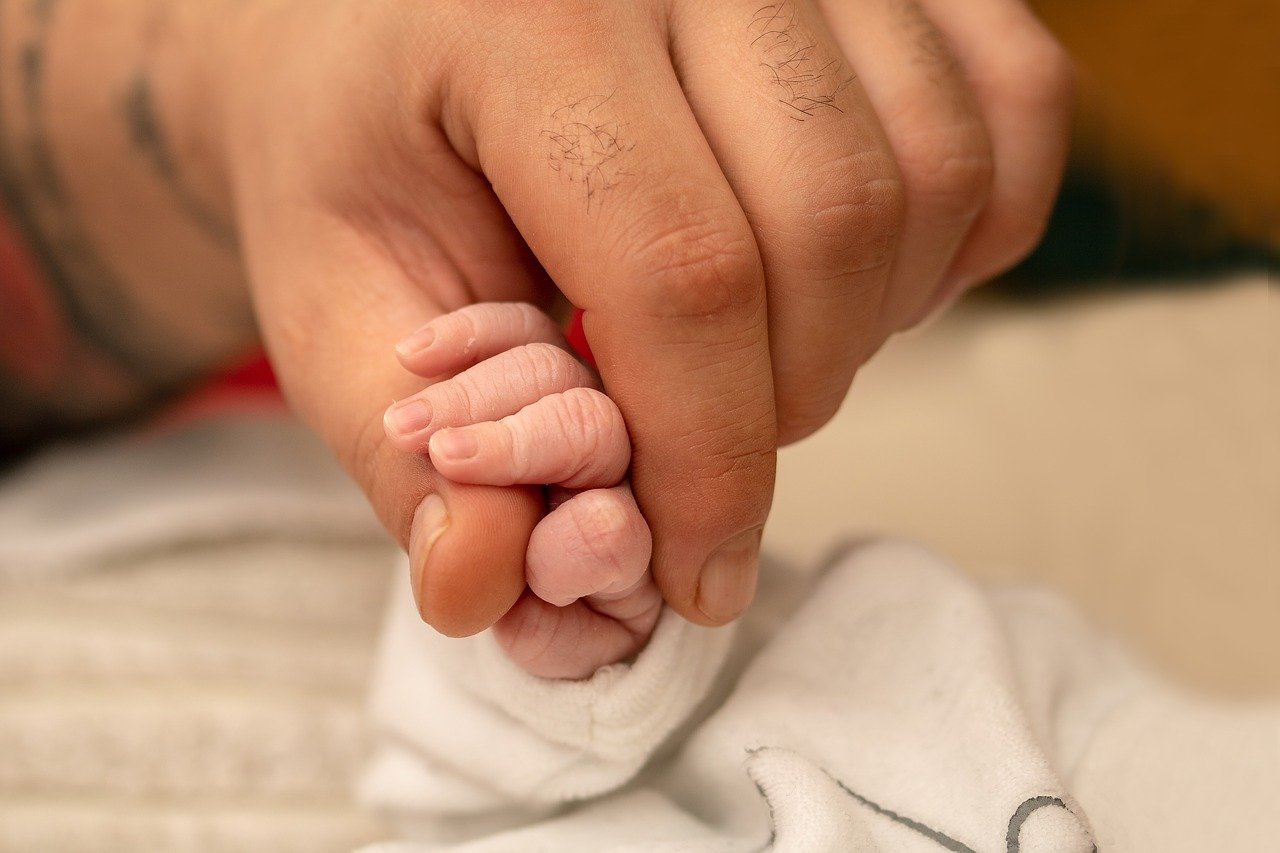 baby's hand, newborn, small hand-3771123.jpg